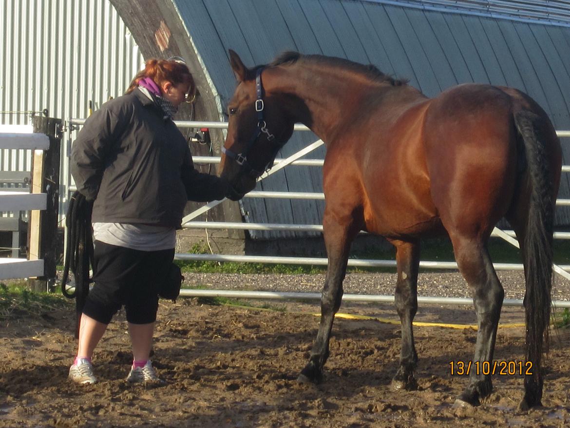 Anden særlig race Babe - uhhhh... har du en godbid til mig... mmmmm.... lækkert =) billede 17