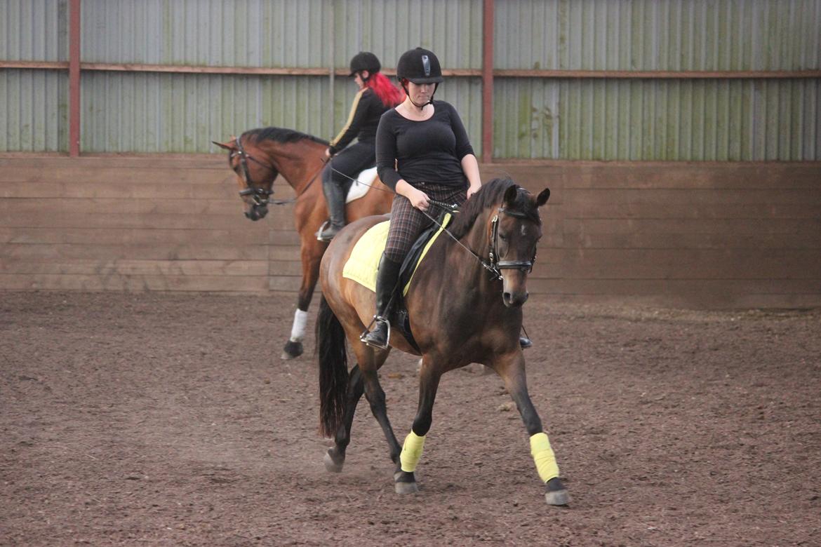 Anden særlig race Tequila alias La Amia billede 8