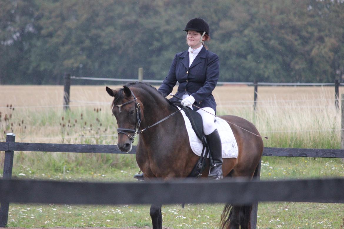 Anden særlig race Tequila alias La Amia - rikke på tequila, hvor de red 2 kl. til 68 % i begge. august 2012 billede 9