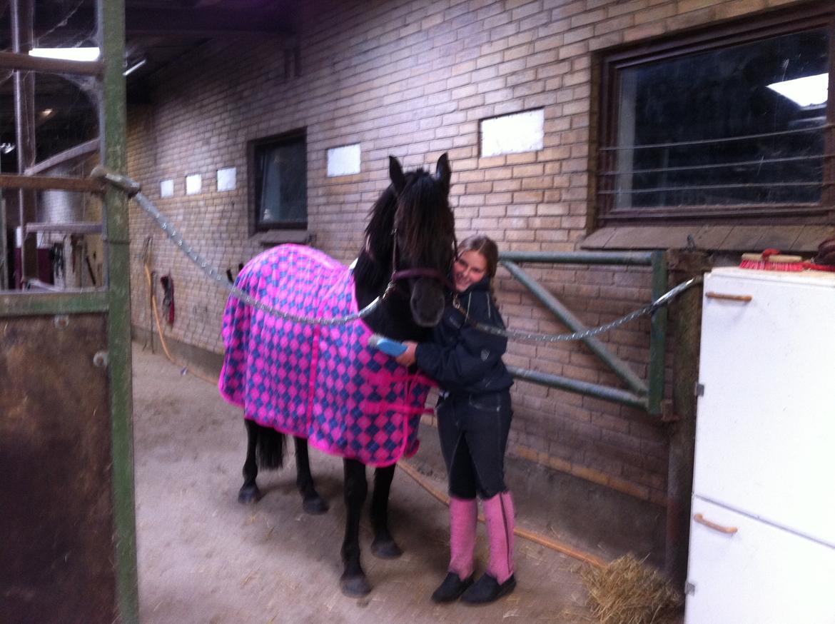 Pinto Galoply´s Marster billede 9