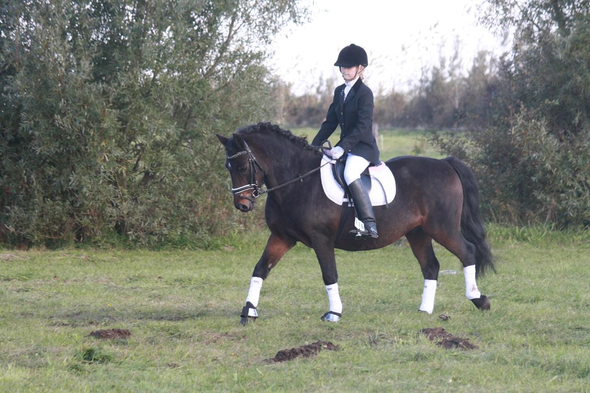 Anden særlig race Ponyo chusteau <3<3 billede 11