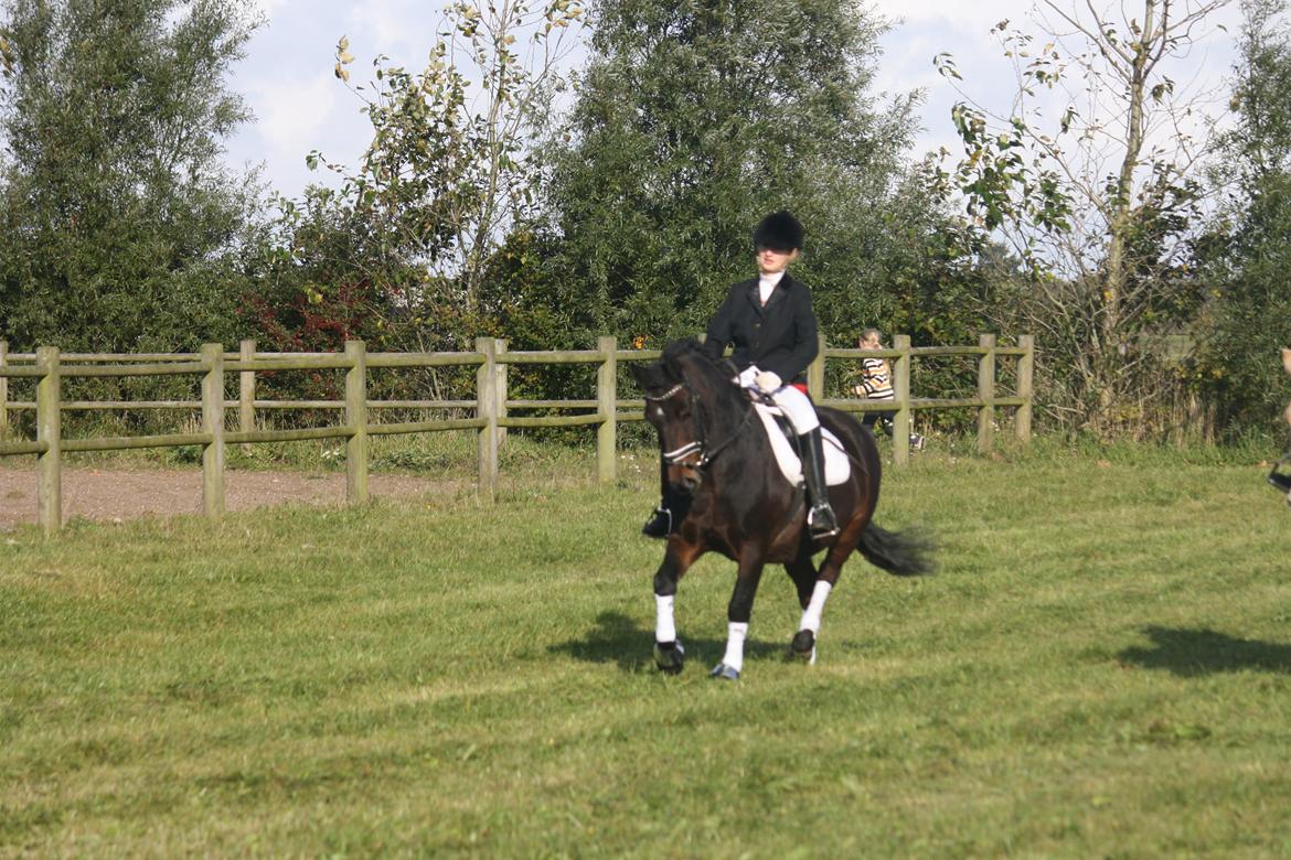 Anden særlig race Ponyo chusteau <3<3 billede 12