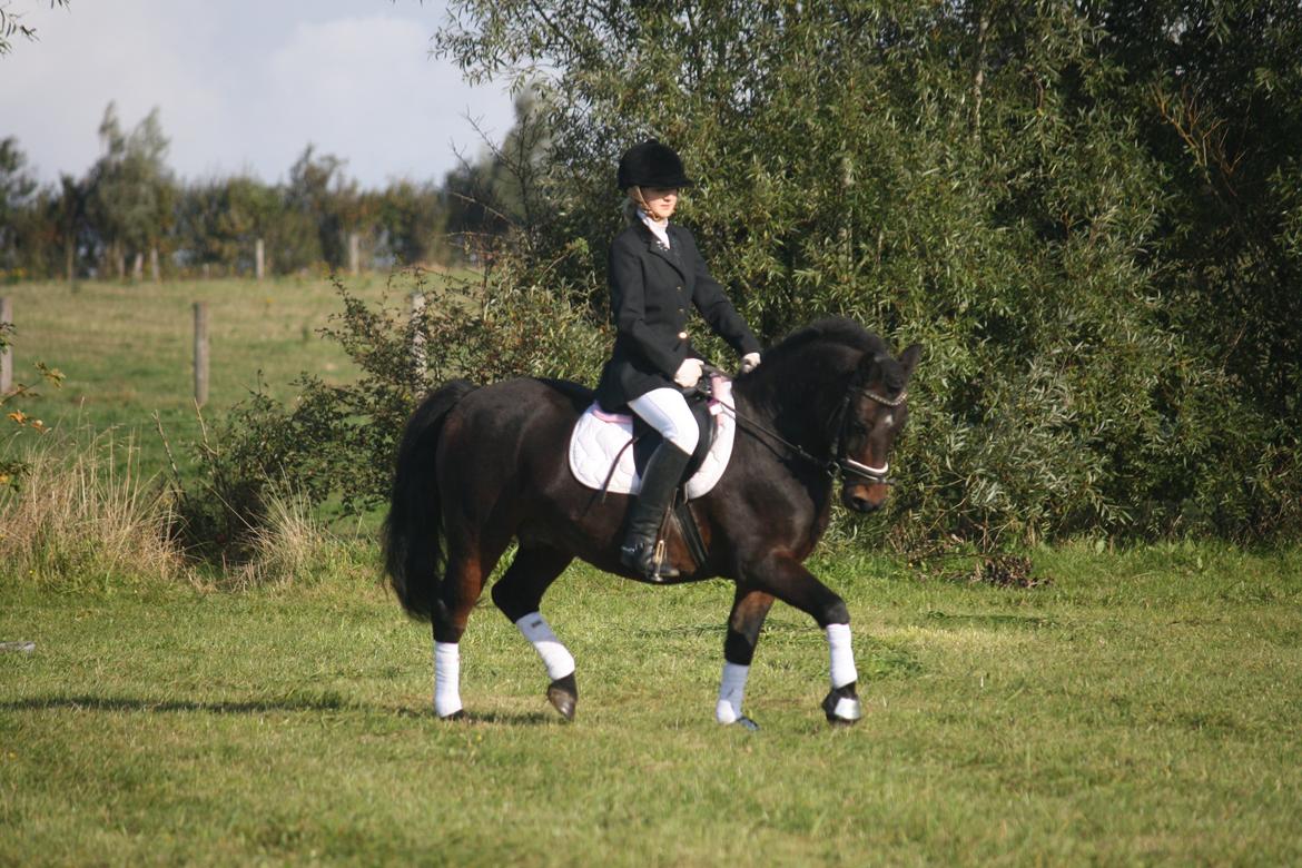 Anden særlig race Ponyo chusteau <3<3 billede 16