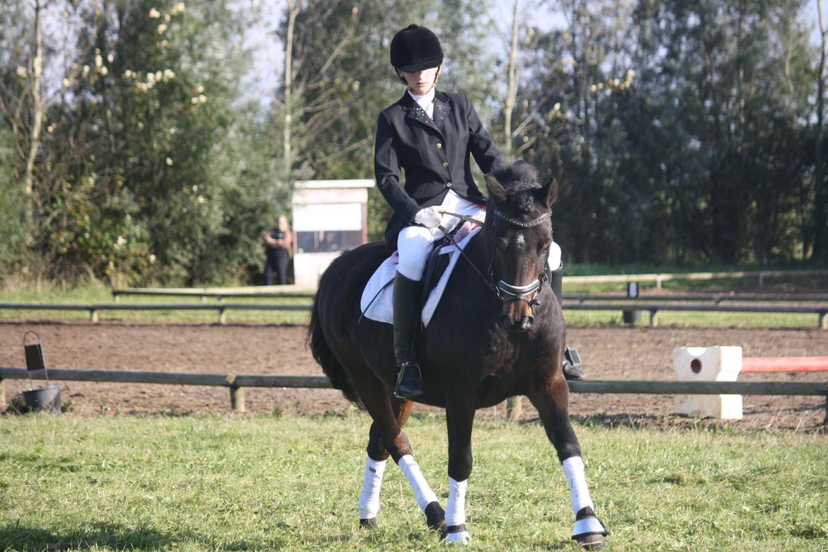 Anden særlig race Ponyo chusteau <3<3 billede 18