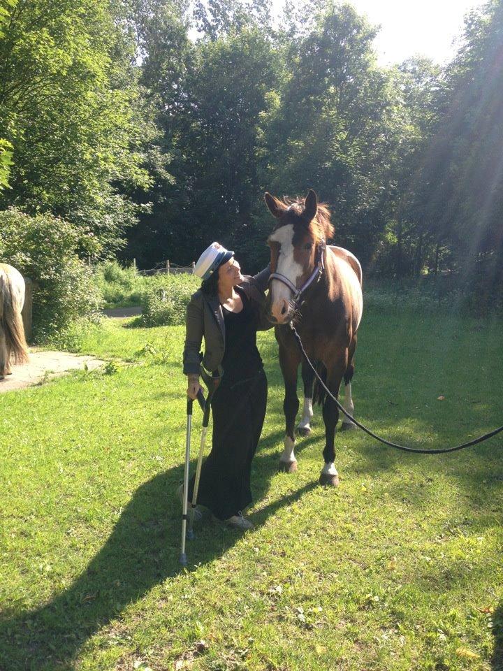 Dansk Varmblod Duelundgårds McKinney billede 17