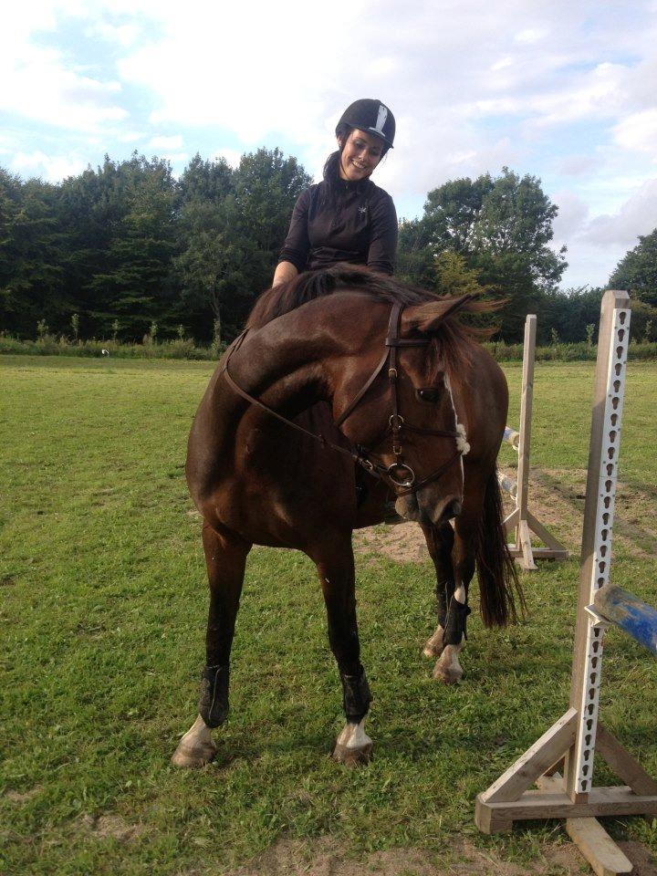 Dansk Varmblod Duelundgårds McKinney - <3 <3 <3  billede 18