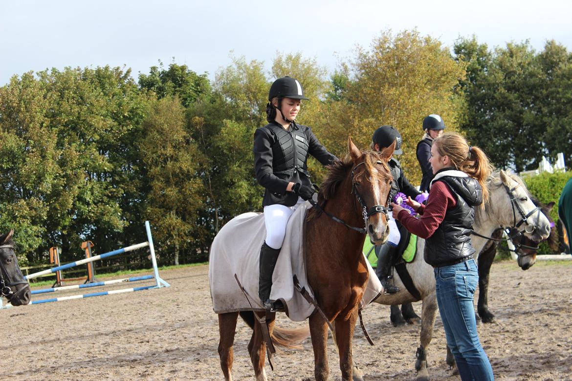 Hollandsk Sportspony Jasmijn Hoeve's Ginger - Første stævne
 billede 8