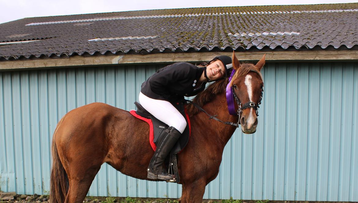 Hollandsk Sportspony Jasmijn Hoeve's Ginger - Første stævne billede 10