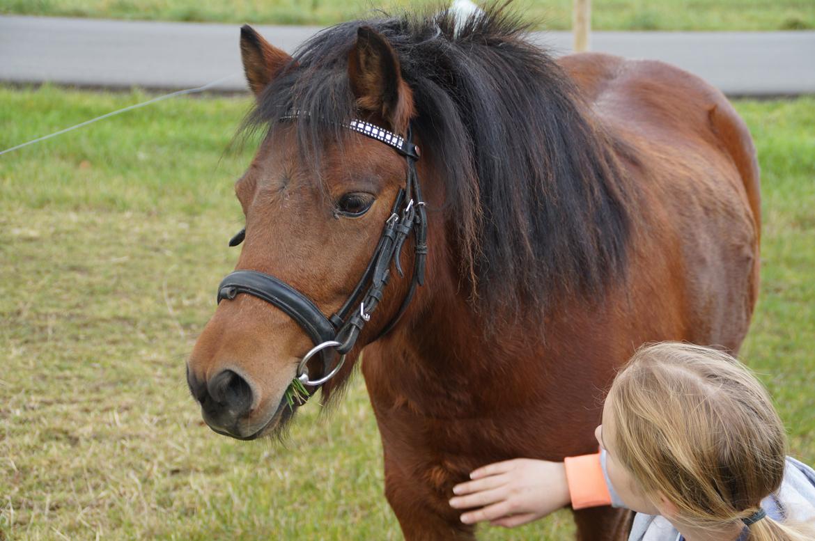 Anden særlig race Lotte  - Jeg stoler på dig! Og du stoler på mig!<3<3 billede 2