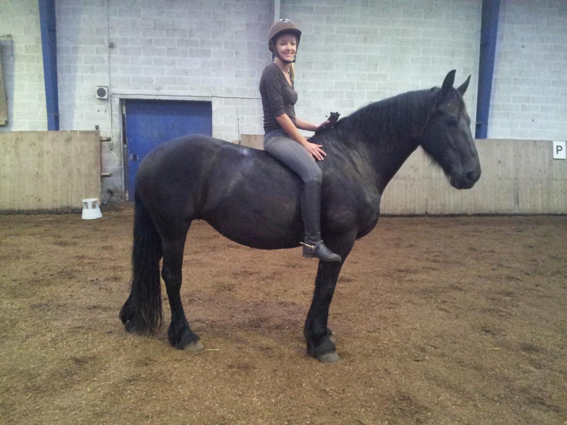 Frieser Jeltsje fra Sonderladegaard(Passer) billede 12