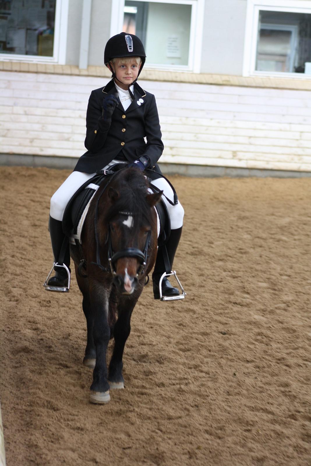 Anden særlig race Chloe billede 16