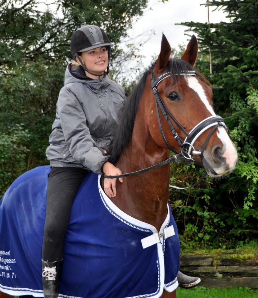 Oldenborg Narnio Roi - Min smukke hest!<3<3<3 billede 27