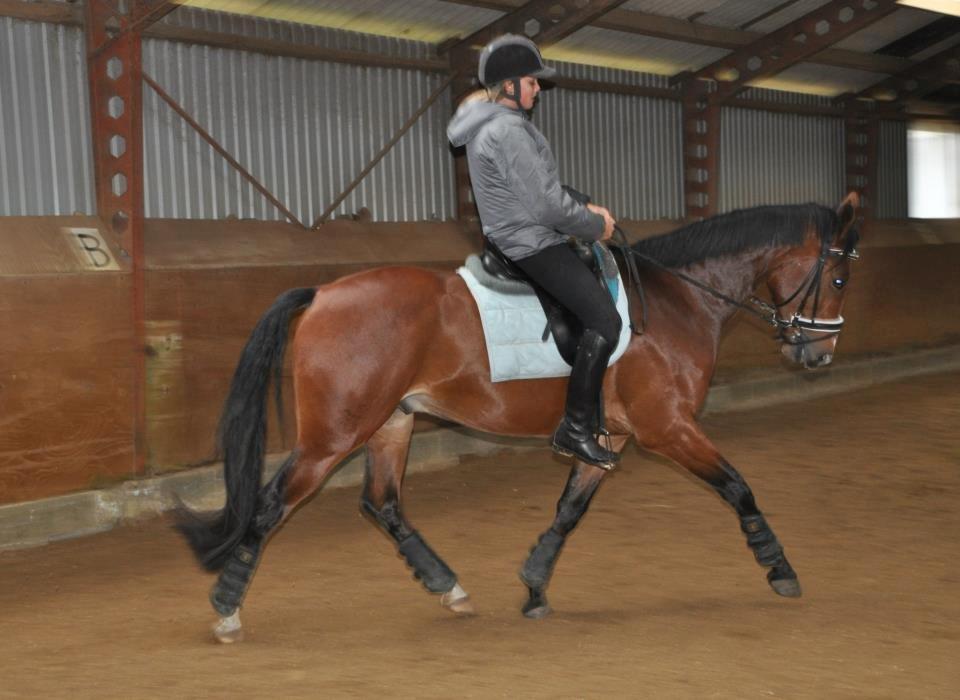 Oldenborg Narnio Roi - Du gør mig glad skat! <3
 billede 16