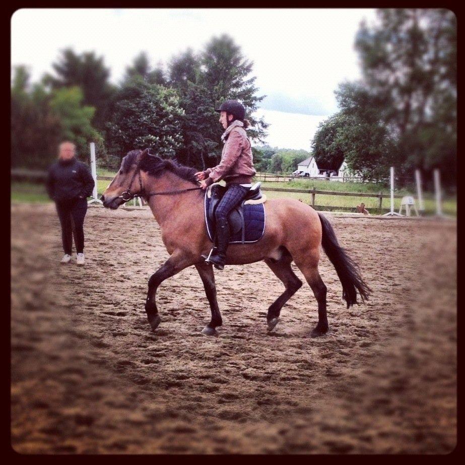 Anden særlig race Blixem - velkommen til Blixems profil:) billede 1