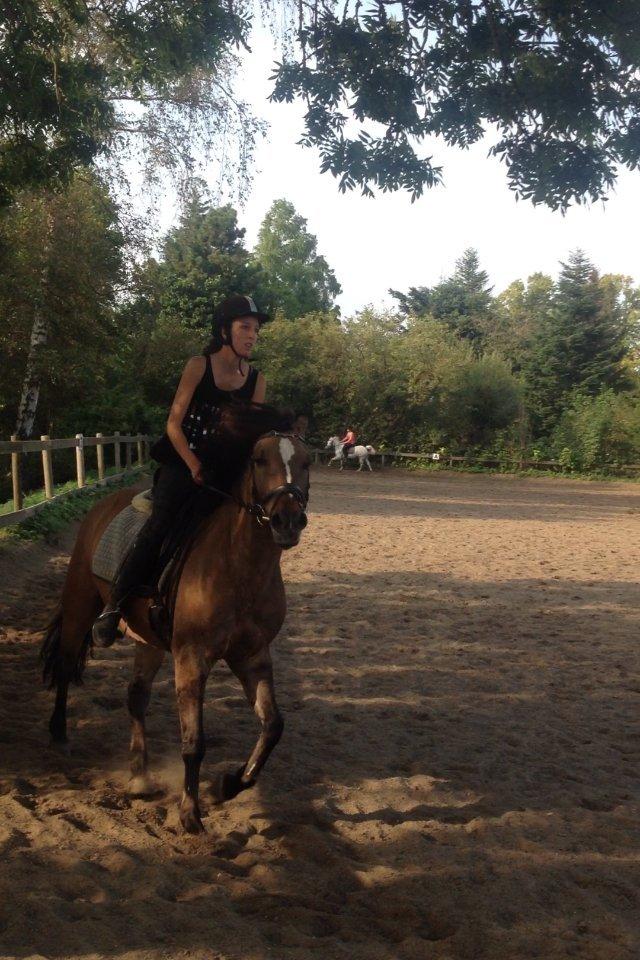 Anden særlig race Blixem - fuld fart frem!:) billede 8