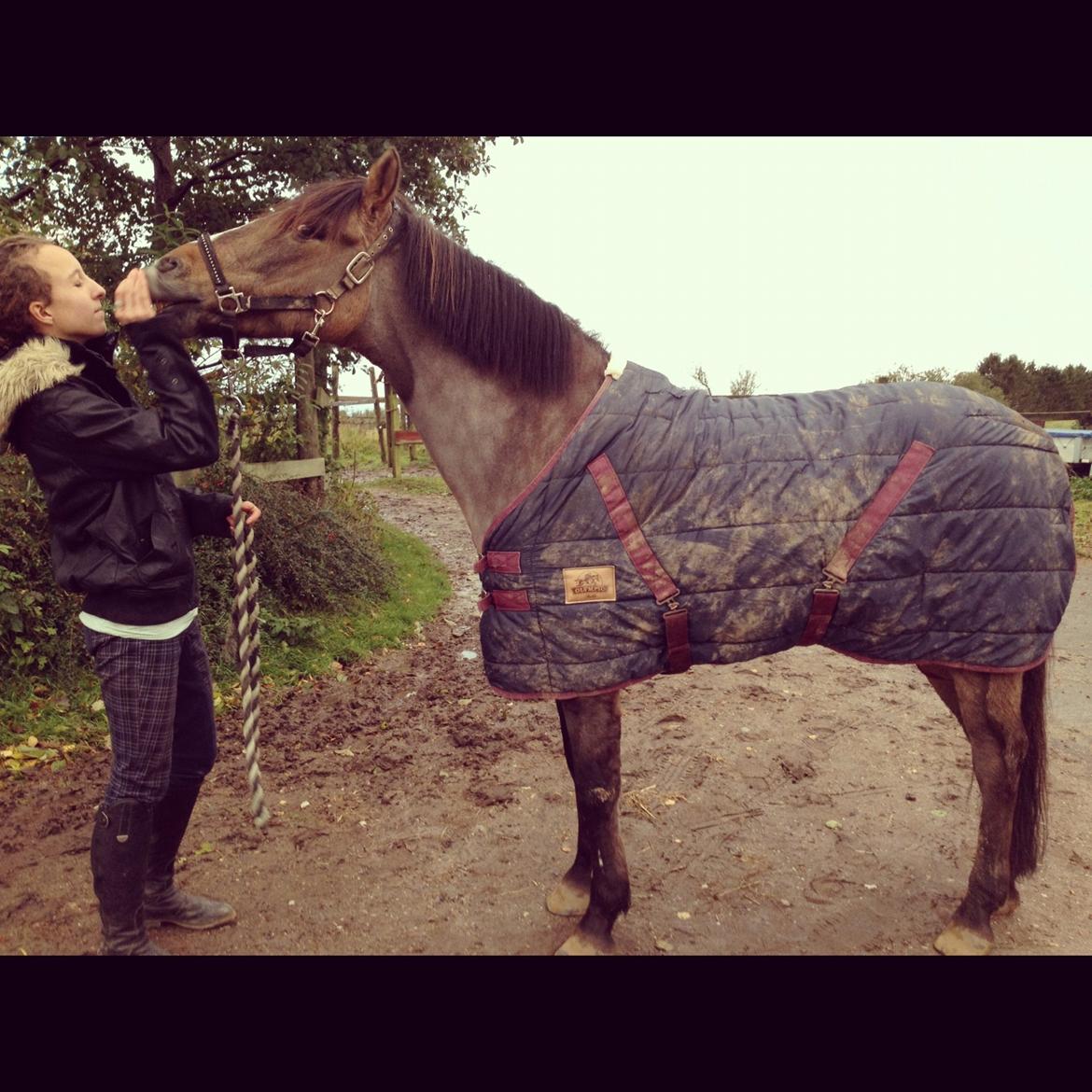 Anden særlig race Blixem - I LOVE YOU<3 billede 9