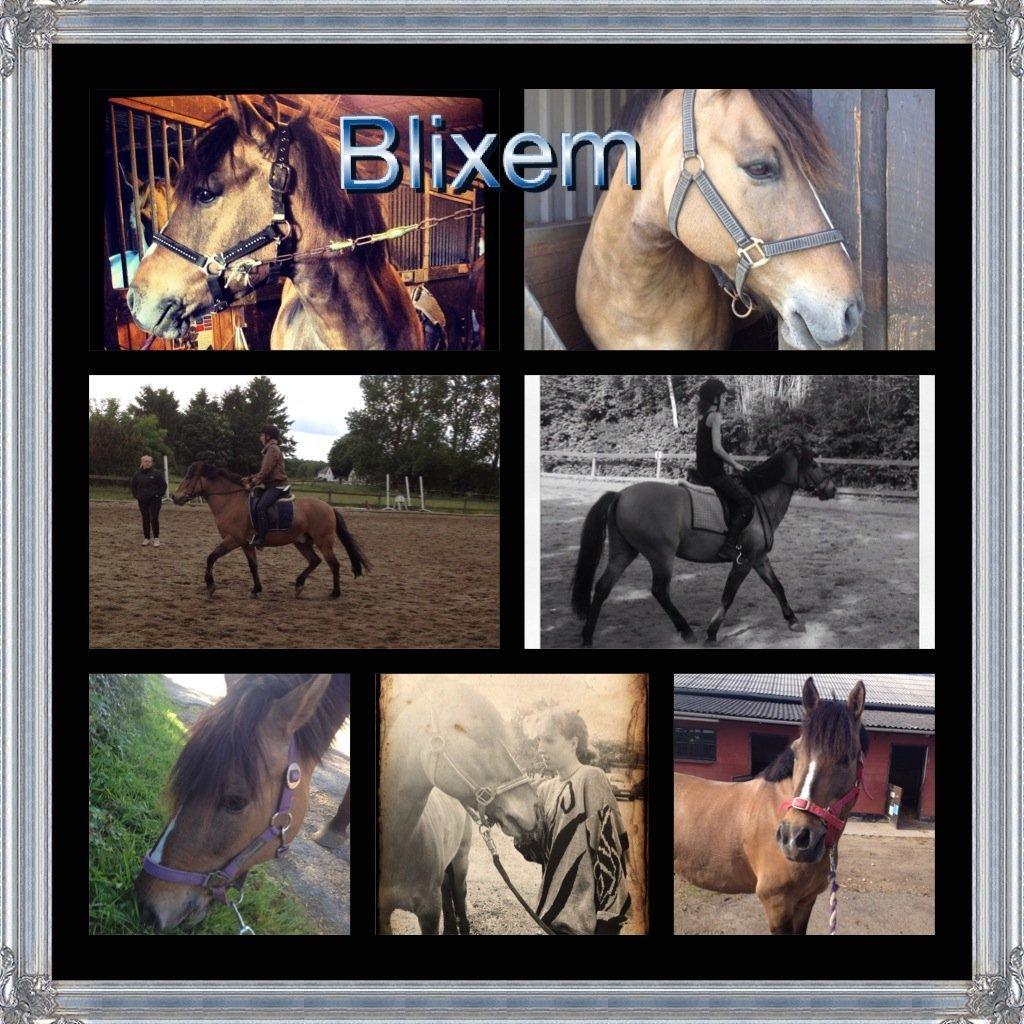 Anden særlig race Blixem - tak fordi i kiggede forbi:) smid gerne en kommentar + bedømmelse:) billede 20