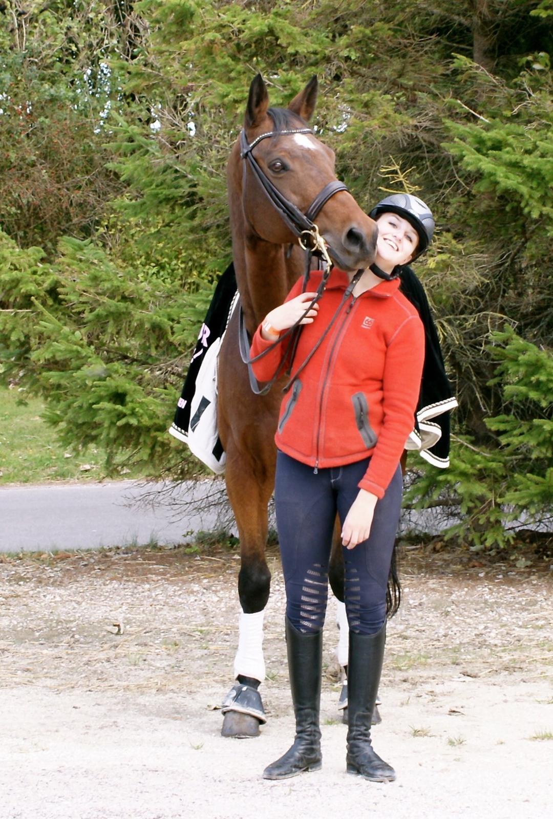 Dansk Varmblod Seduc - A Hest billede 2