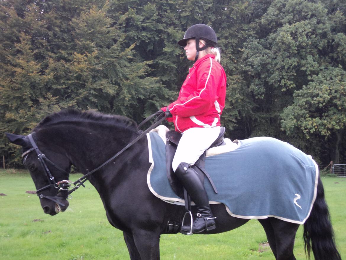 New Forest Odbjergs Bolette - Bolette til "Hestens Dag" i Rold skov :) billede 12