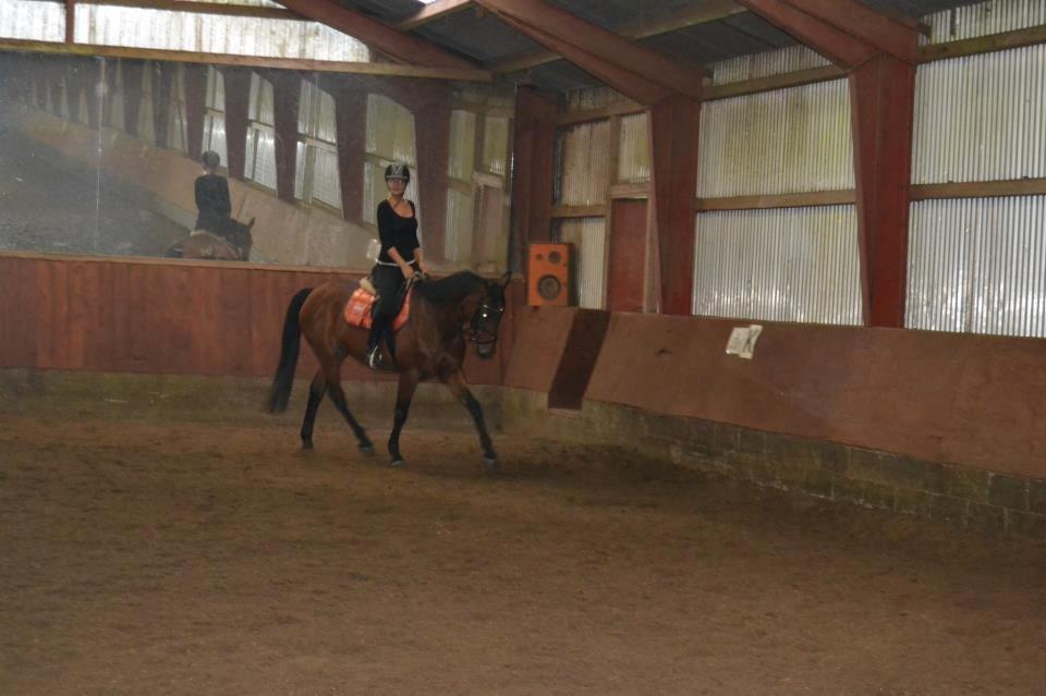 Anden særlig race L`amour (solgt )  billede 6