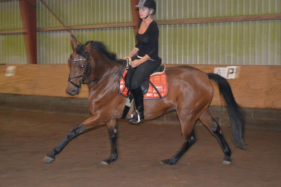 Anden særlig race L`amour (solgt )  billede 8