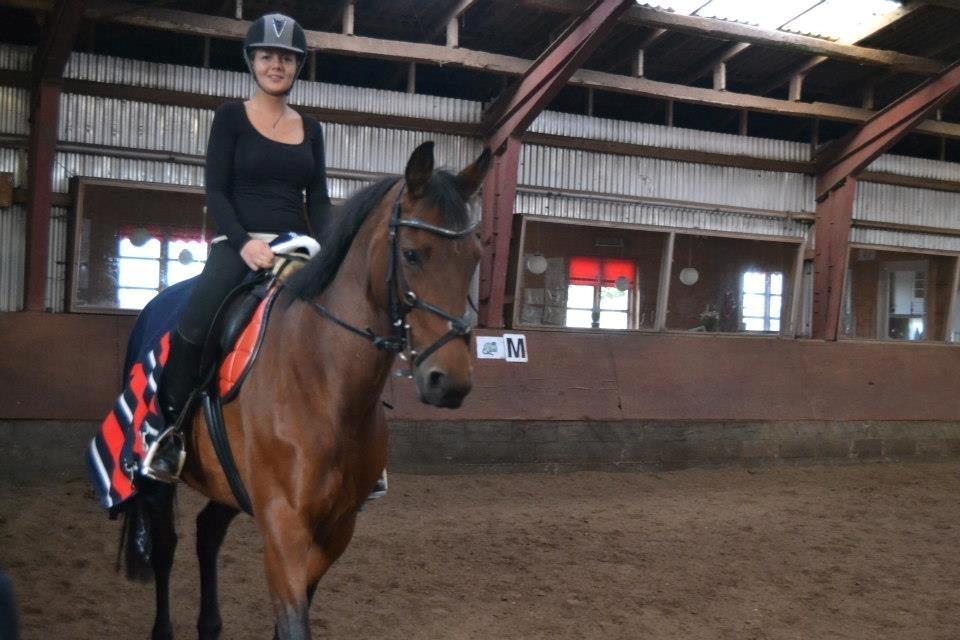 Anden særlig race L`amour (solgt )  billede 1