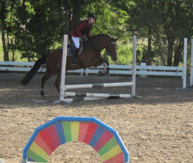 New Forest Sultan De Civry - Vores første spring-stævne, sultans allerførste! <3 d.30/9-12 billede 6