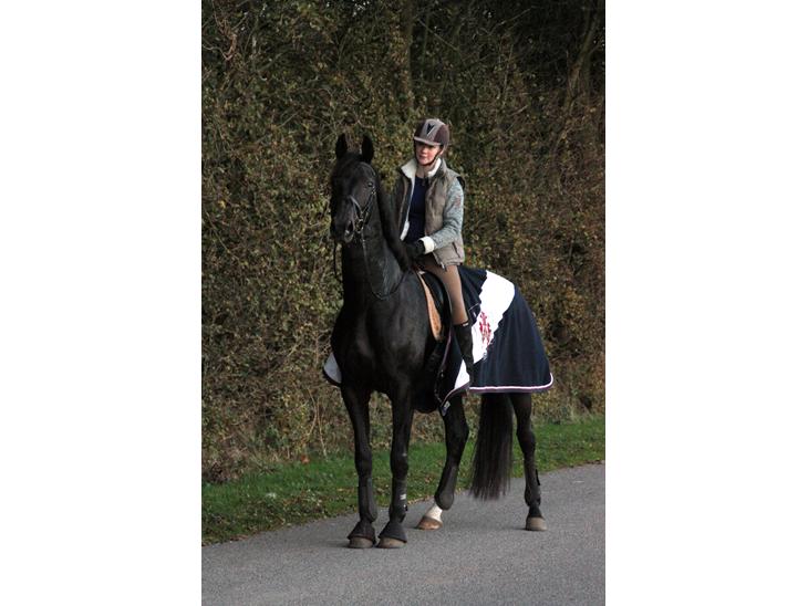 {{currentPhoto.altText}} billede {{currentPhoto.number}}