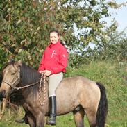 Anden særlig race Landlystes Prins Abbacus Valentino