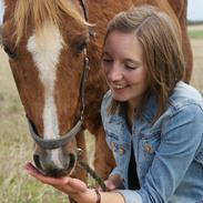 Hollandsk Sportspony Kelly R.I.P