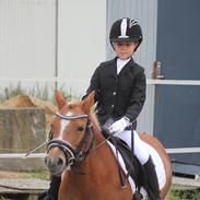 Anden særlig race Beauty