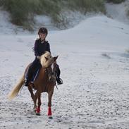 Anden særlig race Beauty