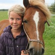 Anden særlig race Beauty