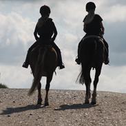 Anden særlig race Beauty