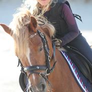 Anden særlig race Beauty