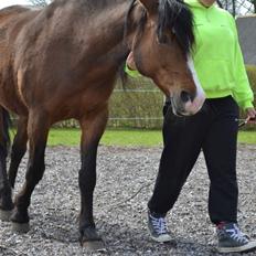 Anden særlig race celeste( you  was my  dreams )