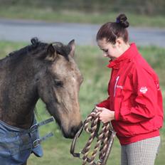 Anden særlig race Landlystes Prins Abbacus Valentino