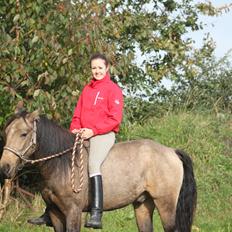 Anden særlig race Landlystes Prins Abbacus Valentino