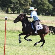 Anden særlig race Claggan Dare Lady