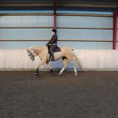 Palomino Bell Feodora