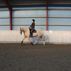 Palomino Bell Feodora