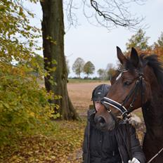 Holstener Cypresgårdens Coriane