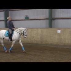 Knabstrupper Kolumbus af Hallundbæk ¤'Flæske'¤ <3