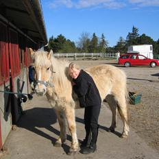 Anden særlig race Pippi