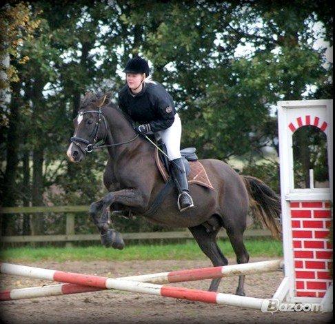 DSP Dutchy M - Dutchy og jeg til første springstævne :) hehe 30 cm og fejlfri billede 18