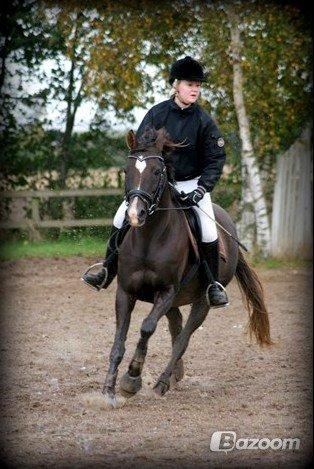 DSP Dutchy M - Dutchy og jeg til springstævne :) billede 20