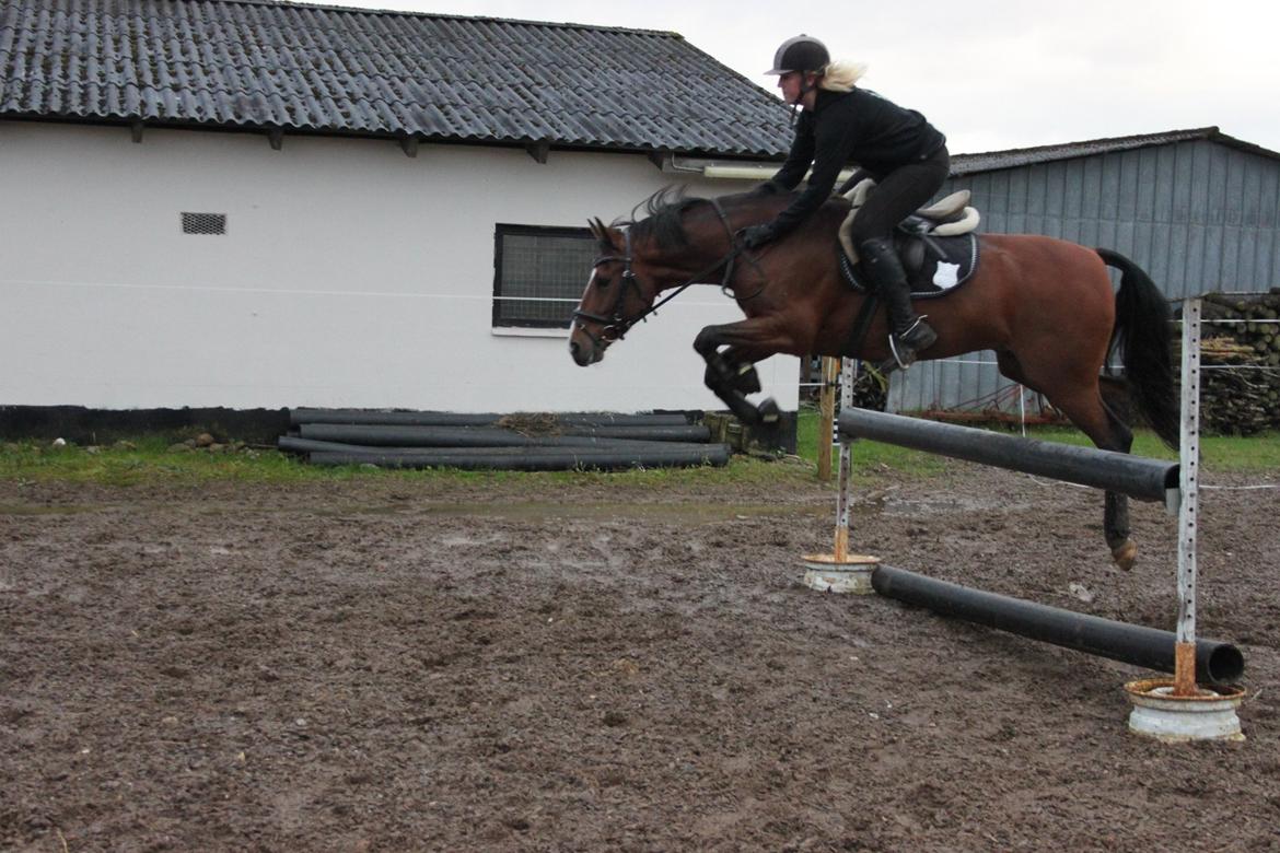 DSP Fontaine - springe kan vi også!:-) billede 4