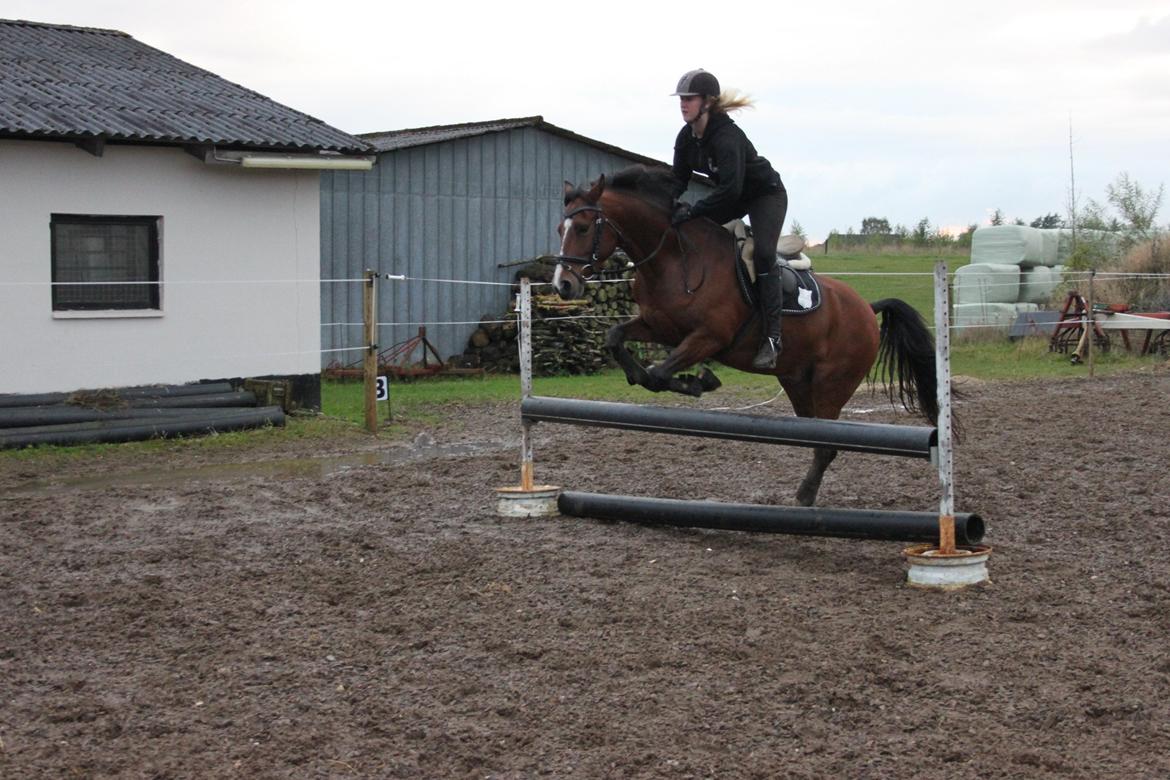 DSP Fontaine billede 12