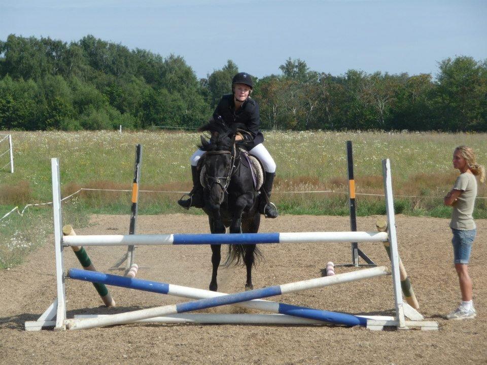 Connemara Jasmin - Sponsorspingstævne:-) billede 11