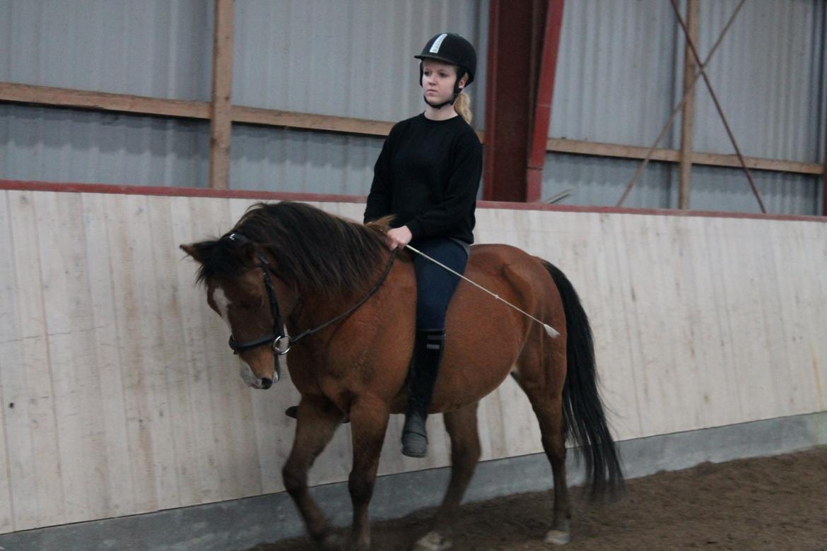 Anden særlig race Santo | tidl. part | billede 20